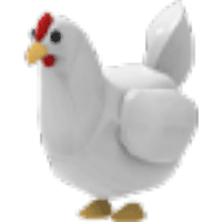 Chicken  - Common from Farm Egg